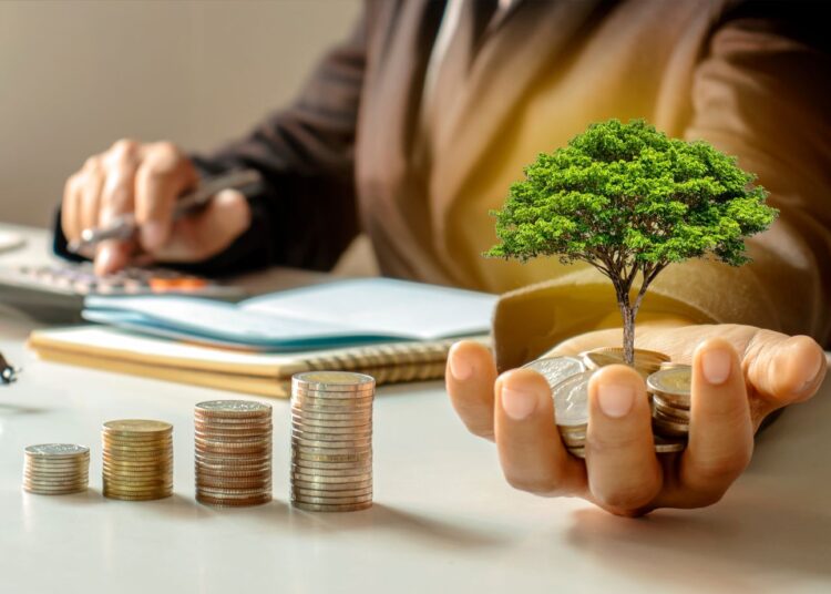 Do’s and Don’ts When Investing for the First Time