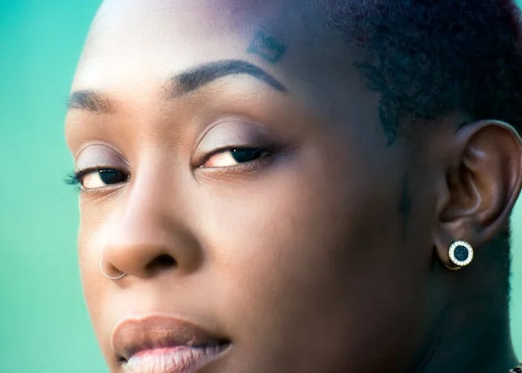 silver streak black hair with silver highlights pictures