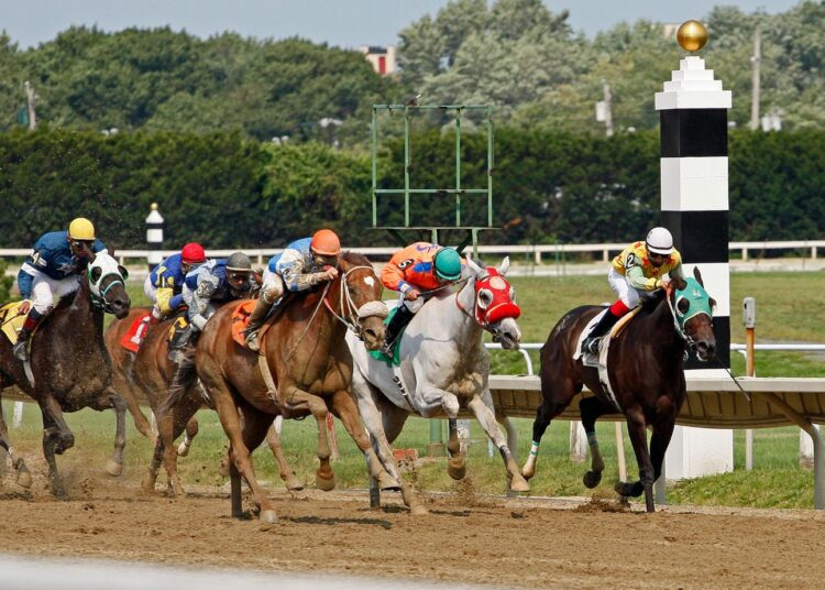The Business of the Track: What Horse Racing Can Teach Us About Smart Financial Decision-Making