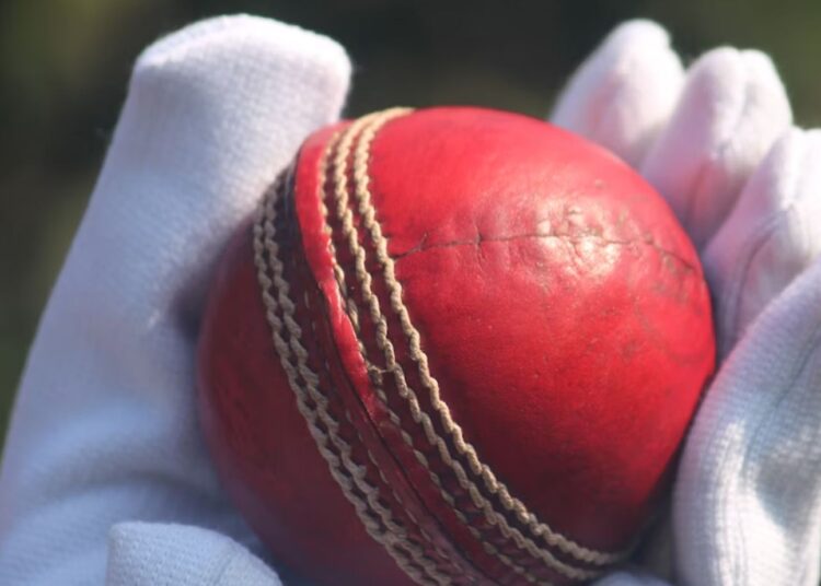 Tanzid Hasan Tamim and Mahedi Hasan Are the New Strike Duo of Bangladesh National Team