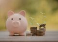 Smart Saving Decisions for Flexible Space and Everyday Budgets