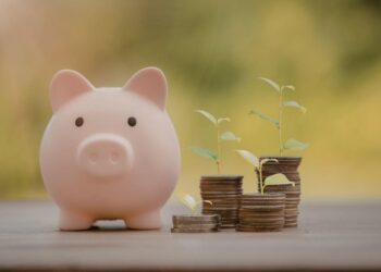 Smart Saving Decisions for Flexible Space and Everyday Budgets