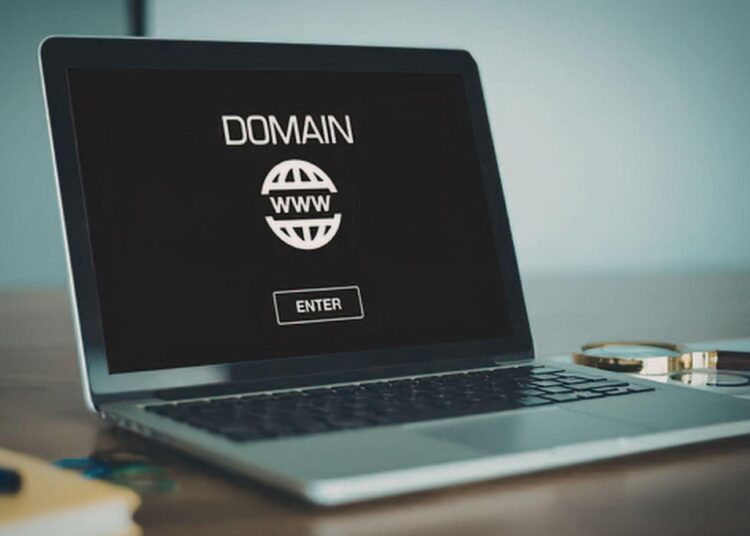 Is Having Your Own Domain Worth It When Making Money?