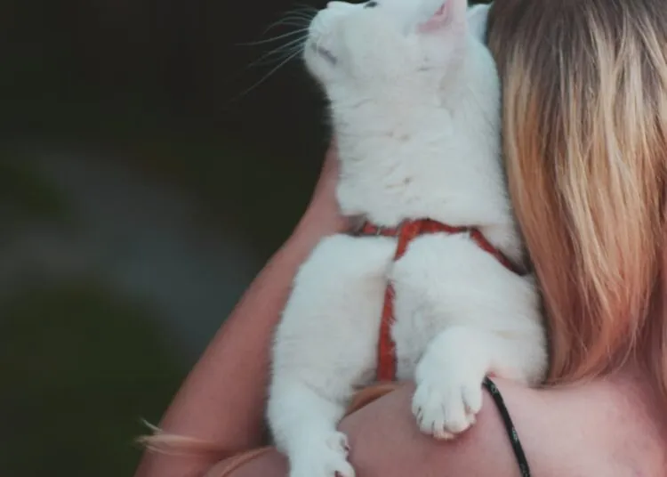 shoulder length hair cute hairstyles for short hair