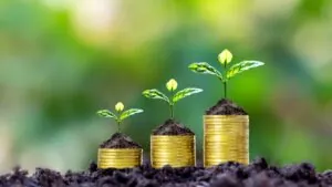 Financial Wellness in Your Golden Years: What You Need to Know About Tapping Into Home Equity