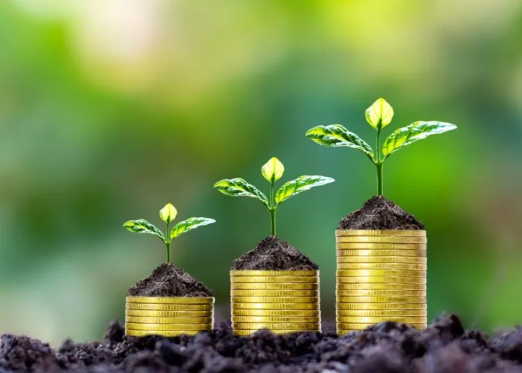 Financial Wellness in Your Golden Years: What You Need to Know About Tapping Into Home Equity