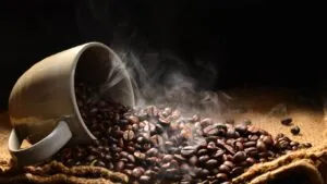 Why Specialty Coffee Lovers Choose Ethiopian Beans