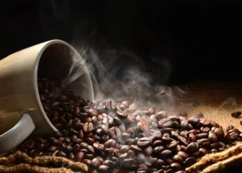 Why Specialty Coffee Lovers Choose Ethiopian Beans