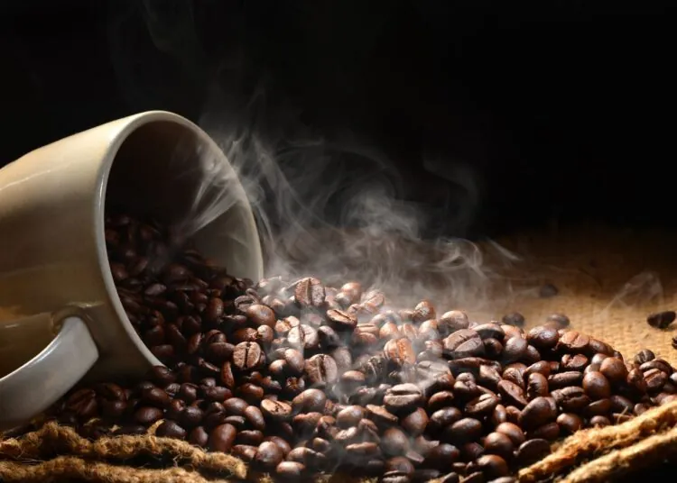 Why Specialty Coffee Lovers Choose Ethiopian Beans